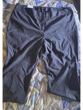 The Limited Light Gray Dress Pants - Size 20W - New with Tags